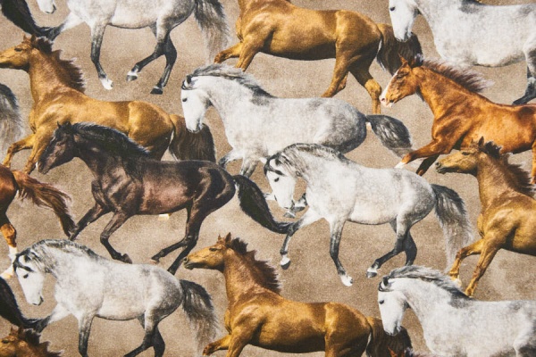 Hochwertiger Baumwollstoff braun ✂ Digitaldruck mit vielen Pferden ✓ hochwertig ✓  ab 0,3 Meter ✓ 1016-1